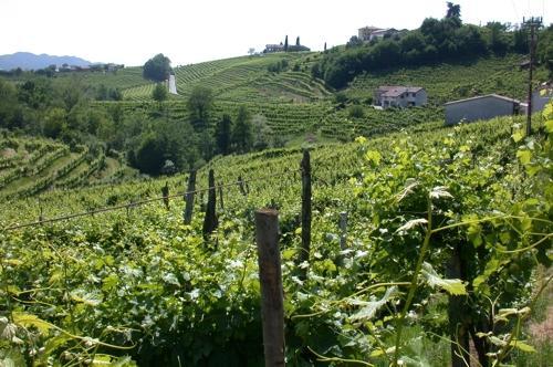 B&B Alla Pergola Valdobbiadene Eksteriør billede